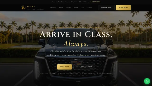 Captura de teutaexecutivetransport.com — Teuta Executive Transport